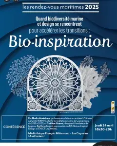 Bioinspiration : quand biodiversité marine et design se rencontrent pour accélérer les transitions