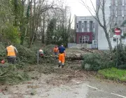 3 photos du dégagement des arbres devant l'entrée des archives